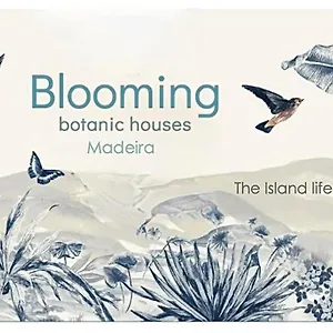 Blooming Botanic Hébergement de vacances Estreito Da Calheta